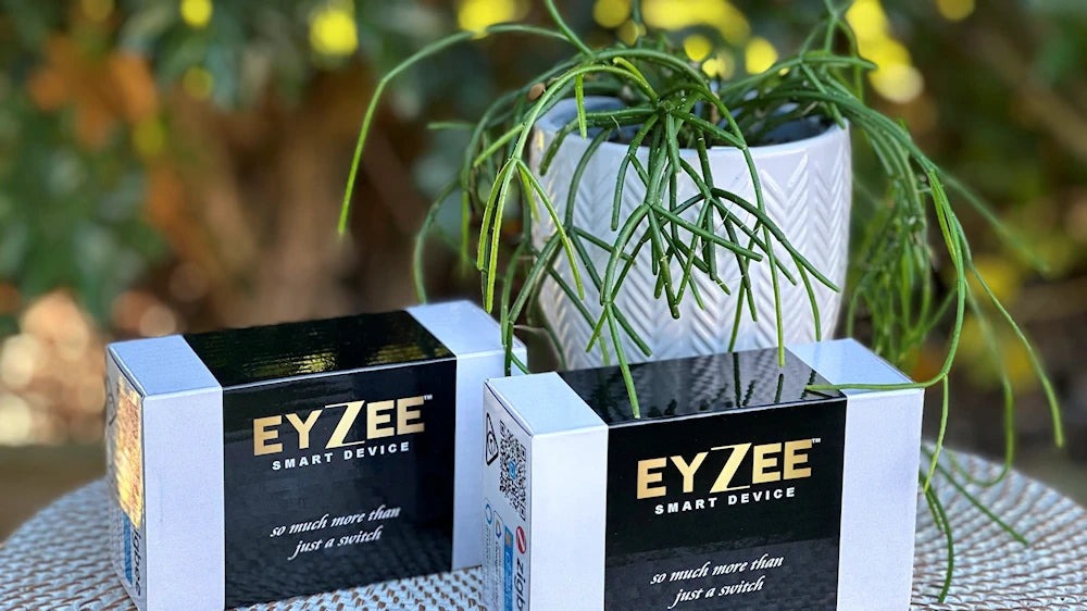 Ceiling Fan Smart Switch Upgrade Kit by EyZEE®