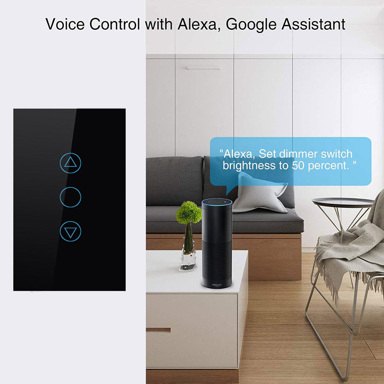 Voice assistant with Alexa, google home